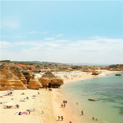 皇冠体官方网站app截图